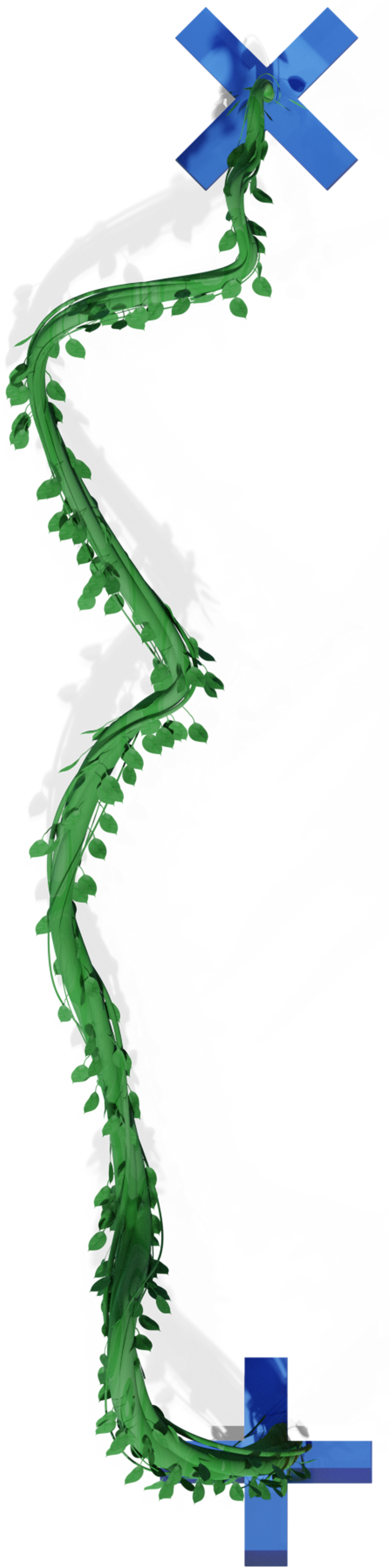 Beanstalk linking a multiplication sign and a plus sign vertically