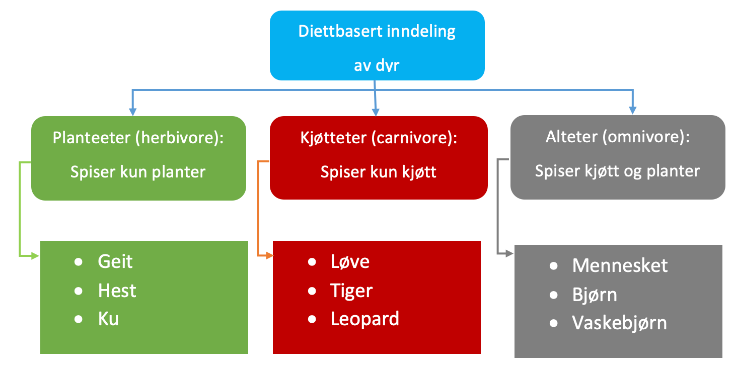 Konseptkart over dyr