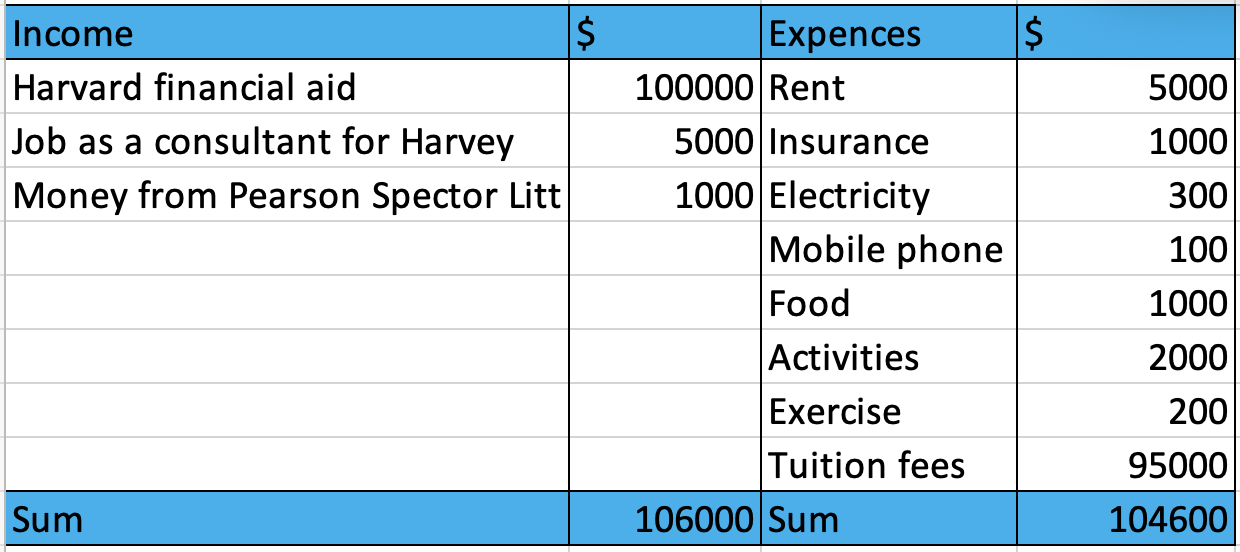 Таблиця Excel зi статтями Майкових доходiв та витрат