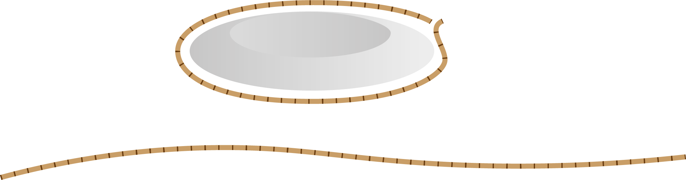 Circumference of circle explanation