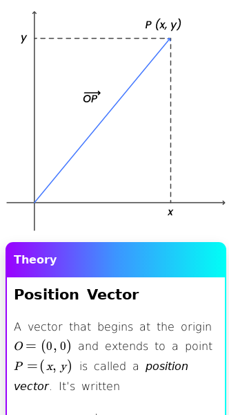 Article on What Does Position Vector Mean?